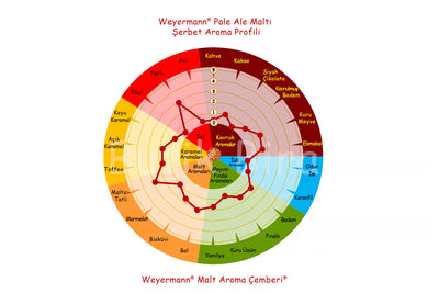 Weyermann Pale Ale Arpa Maltı Aroma Profili Çemberi - Butik Bira