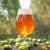 IPA Bira Kitleri Kategorisi - Butik Bira