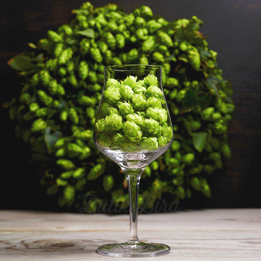 Şerbetçi Otları Ürün Kategorisi - Butik Bira