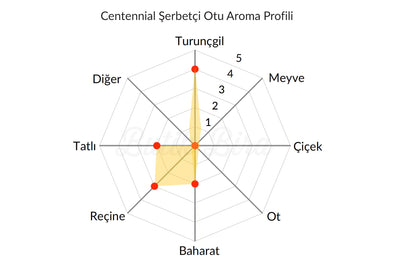 Centennial Şerbetçi Otu Aroma Profili - Butik Bira