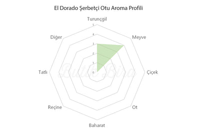 El Dorado Şerbetçi Otu Aroma Profili - Butik Bira