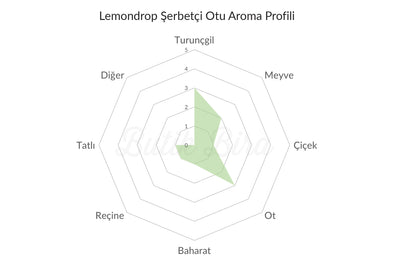 Lemondrop Şerbetçi Otu Aroma Profili - Butik Bira