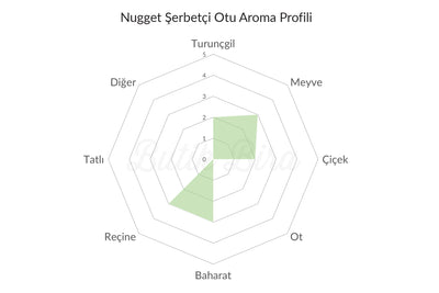 Nugget Şerbetçi Otu Aroma Profili - Butik Bira