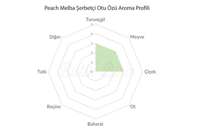 Peach Melba Şerbetçi Otu Özü Aroma Profili - Butik Bira
