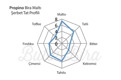 Propino Pale Ale Bira Maltı Tat Profili - Butik Bira