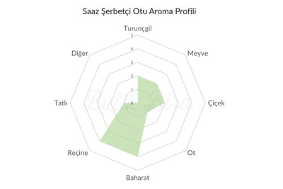 Saaz Şerbetçi Otu Aroma Profili - Butik Bira