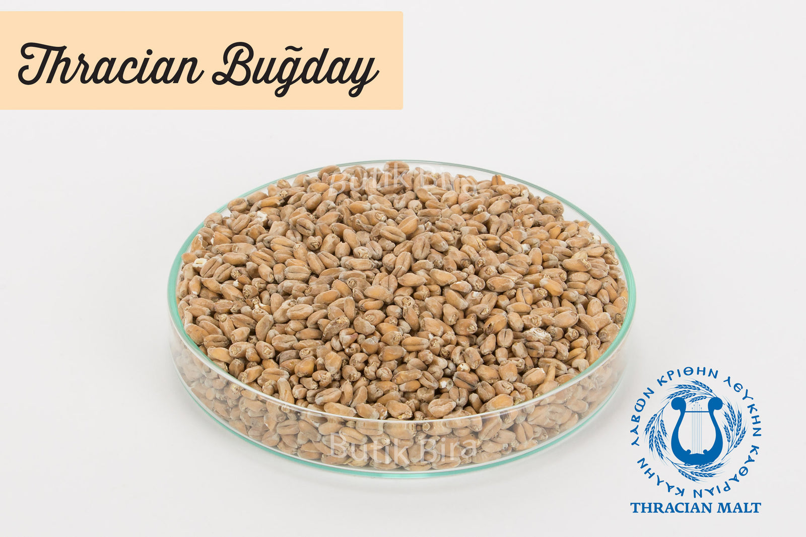 Thracian Buğday Maltı - Butik Bira