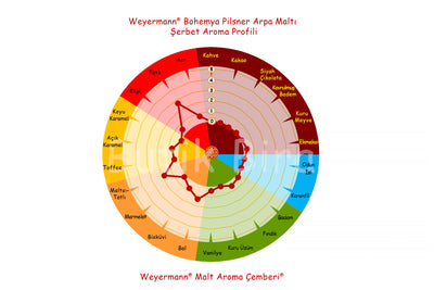 Weyermann Bohemya Pilsner Arpa Maltı Aroma Profili Çemberi - Butik Bira