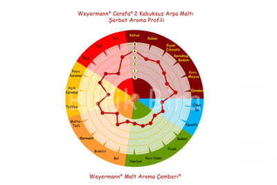 Weyermann Carafa 2 Kabuksuz Arpa Maltı Tat Profili - Butik Bira