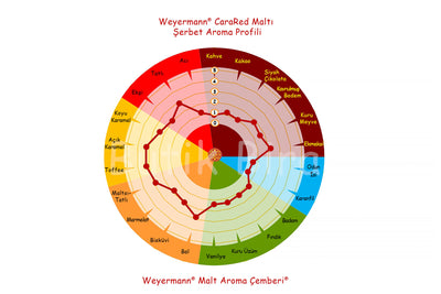 Weyermann CaraRed Arpa Maltı Aroma Profili Çemberi - Butik Bira