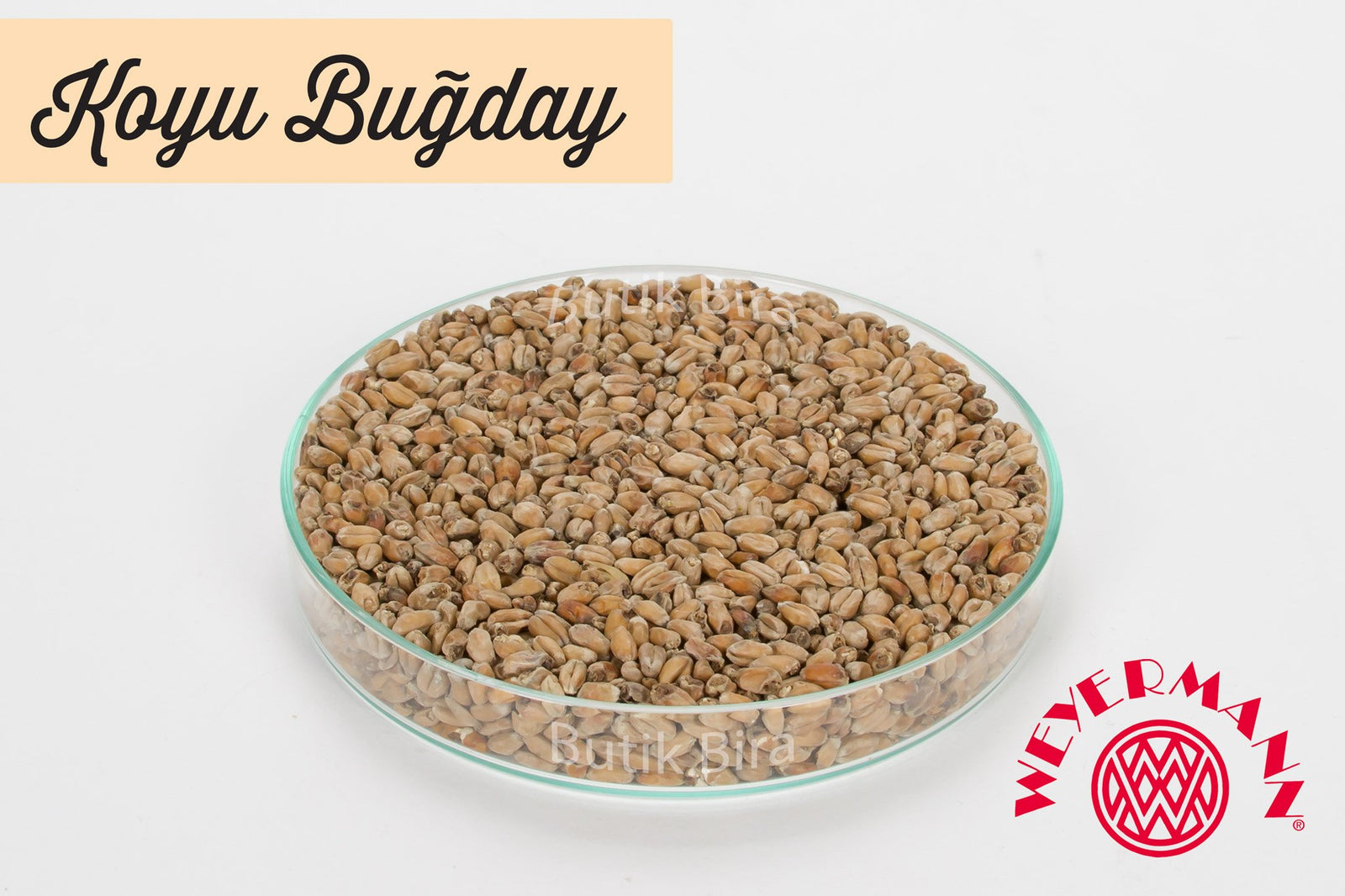 Weyermann Koyu Renk Buğday Maltı - Butik Bira